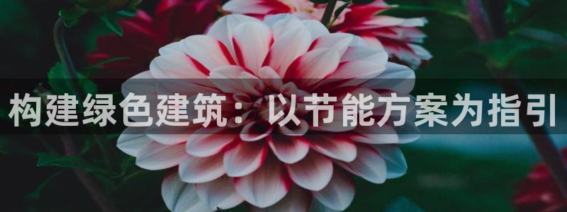 e尊国际客服：构建绿色建筑：以节能方案为指引