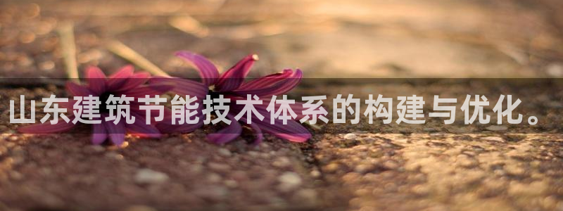 e尊官网：山东建筑节能技术体系的构建与优化。