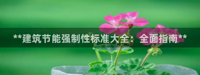 e尊国际官网·网址：**建筑节能强制性标准大全：全面指南**