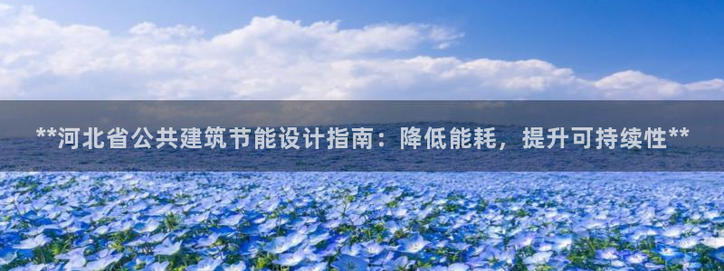 e尊国际-可可计划：**河北省公共建筑节能设计指南：降低能耗，提升可持续性**