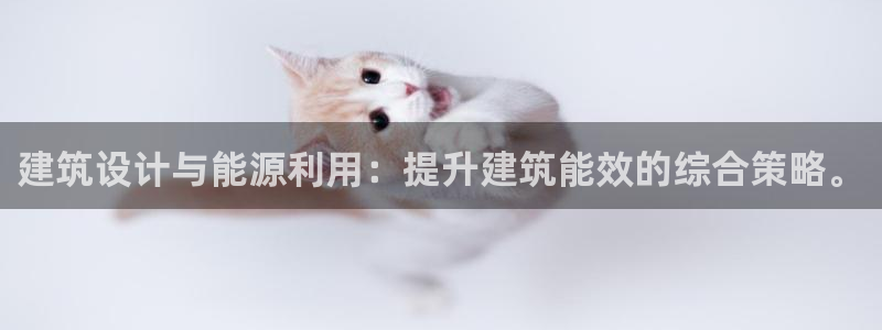 e尊国际官方网站：建筑设计与能源利用：提升建筑能效的综合策略。