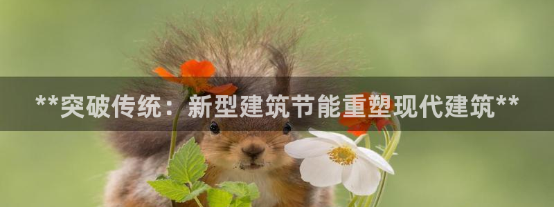 e尊平台：**突破传统：新型建筑节能重塑现代建筑**