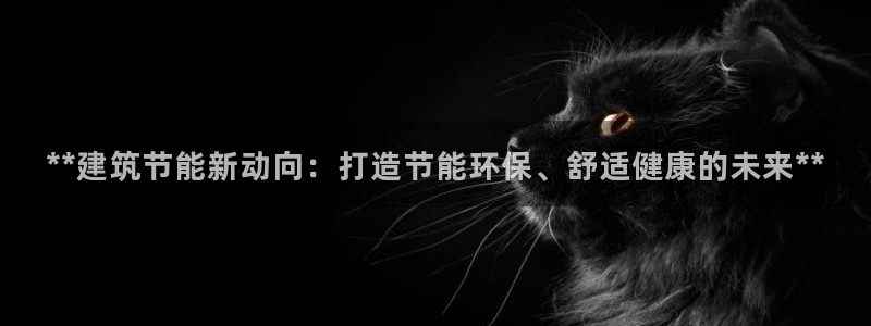 e尊国际app：**建筑节能新动向：打造节能环保、舒适健康的未来**