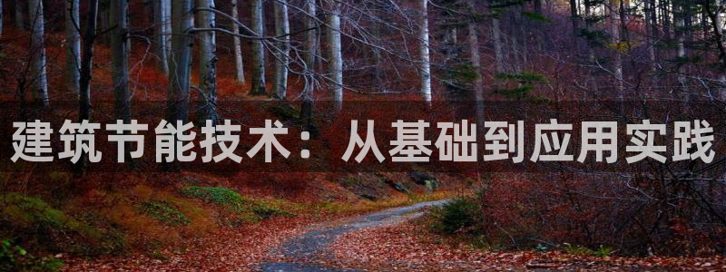谁知道e尊国际的网址：建筑节能技术：从基础到应用实践