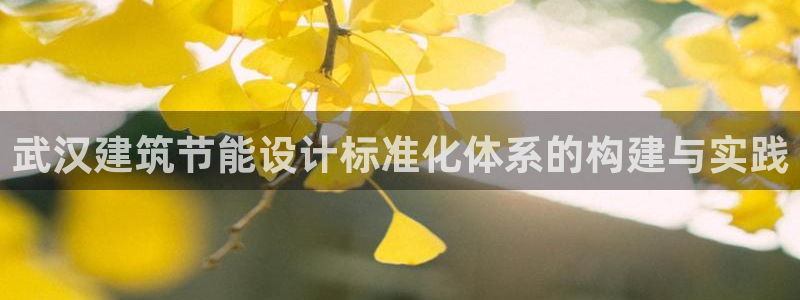 e尊体育：武汉建筑节能设计标准化体系的构建与实践