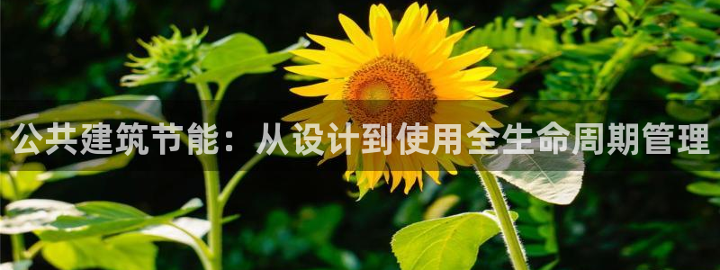 谁知道e尊国际的网址：公共建筑节能：从设计到使用全生命周期管理