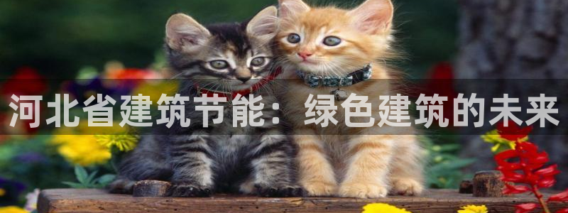 e尊国际可靠吗：河北省建筑节能：绿色建筑的未来