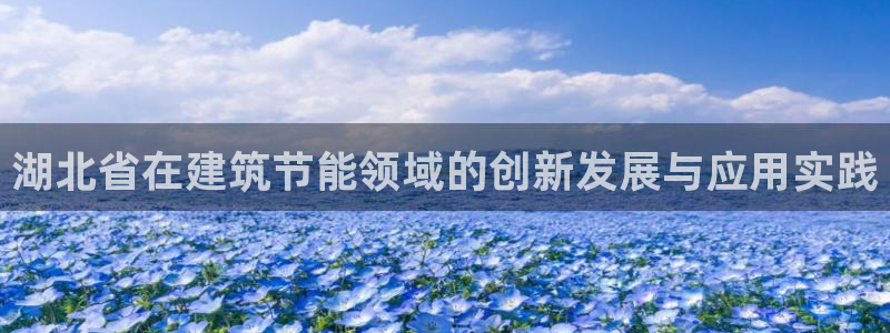e尊平台：湖北省在建筑节能领域的创新发展与应用实践