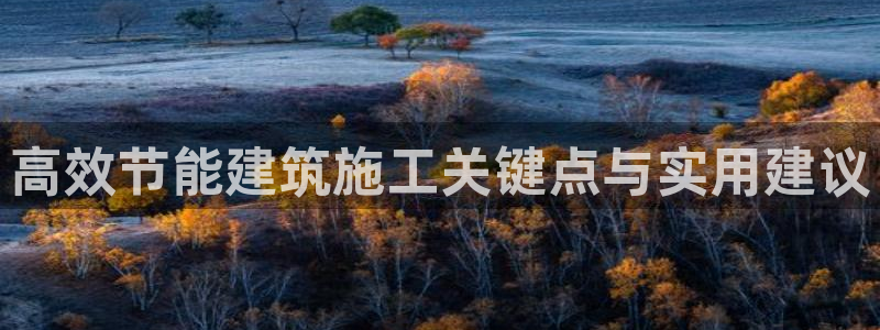 e尊国际是干什么的：高效节能建筑施工关键点与实用建议